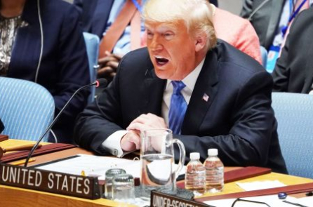 Trump: FED đã “điên” mới tăng lãi suất