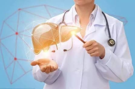 Tìm hiểu các chức năng của gan để tự chẩn đoán bệnh