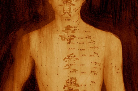 Khoa học cuối cùng cũng chứng minh được sự tồn tại của kinh mạch?