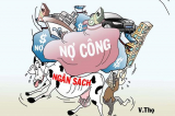 no cong biem hoa