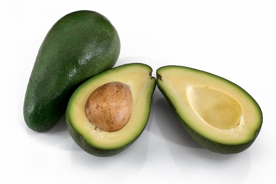 pixabay avocado