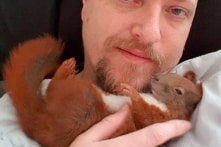 Gia đình đặc biệt: Sóc con được 2 chú mèo luân phiên chăm sóc