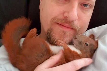 Gia đình đặc biệt: Sóc con được 2 chú mèo luân phiên chăm sóc