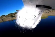 Hiếm thấy: Máy bay thả hàng ngàn con cá sống từ trên bầu trời