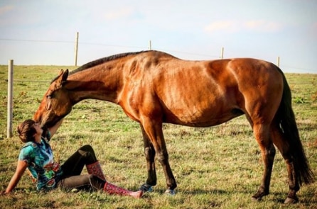 Tình bạn tri kỷ xúc động giữa cô gái và chú ngựa Shay
