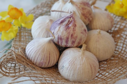 Cách ăn tỏi để phát huy tốt công dụng trị bệnh khỏe người