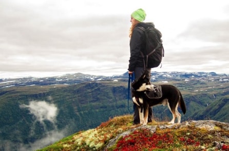 Nhà sản xuất âm nhạc nổi tiếng TQ: “Ở Bắc Âu, tôi cảm thấy nội tâm mình rất xấu”