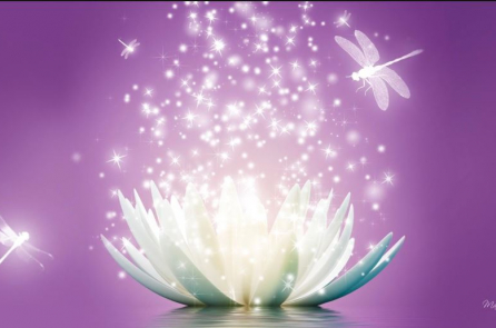 Lòng tốt có thể cảm hóa cái ác