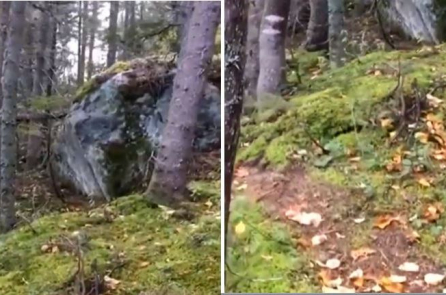 Kỳ lạ: Mặt đất trong rừng Canada như đang “thở gấp”