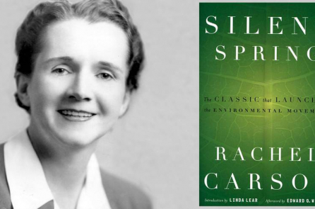 ‘Mùa xuân im lặng’ – cuốn sách thay đổi nhận thức của cả 1 thế hệ về thuốc trừ sâu