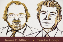 Giải Nobel Y học 2018: Liệu pháp giúp hệ miễn dịch tự tấn công ung thư