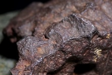 ‘Hòn đá chặn cửa’ của người nông dân Mỹ trị giá 100.000 USD