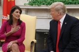 trump haley 2