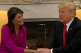 trump nikki haley