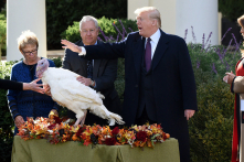 Gà Tây Lễ Tạ Ơn và cách ân xá đặc biệt của Tổng thống Trump