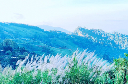 Điệp vụ săn mây trên đỉnh Phu Chee Fah: 1 bình minh 2 đất nước