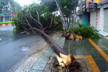 Ngày mai (26/11), học sinh TP.HCM được nghỉ học