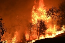 Cháy rừng California: 25 người chết, Trump bị chỉ trích vì phát ngôn tranh cãi