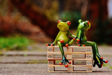 Bài học từ “1000 con ếch”