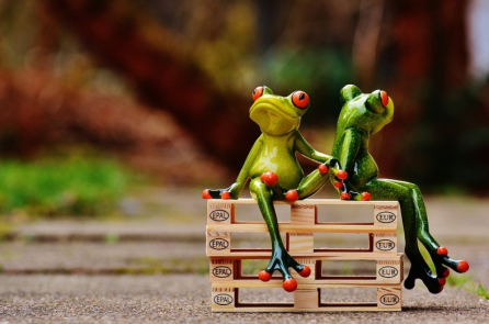 Bài học từ “1000 con ếch”