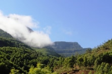 Phó thủ tướng yêu cầu thanh tra toàn diện đất rừng Sóc Sơn