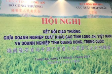22 doanh nghiệp Trung Quốc đến Việt Nam tìm mua gạo
