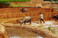 Những lãnh đạo chỉ biết bán đất