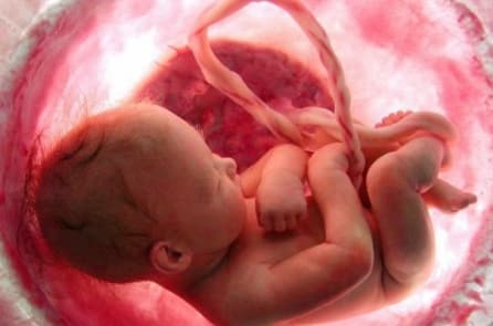 Chất bài tiết của thai nhi sẽ đi về đâu? Bác sĩ: ‘Không nói đâu, ghê lắm đấy’