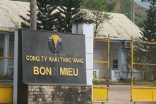 Công ty vàng Bồng Miêu phá sản, để lại khối nợ gần 1.000 tỷ đồng