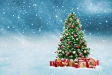 Bạn có biết về nguồn gốc của cây thông Noel?