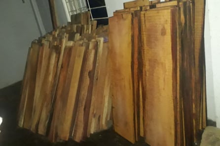 Phát hiện nhiều gỗ lậu trong kho Nhà máy thuỷ điện Sông Tranh 3