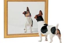 Ngôi nhà có 1000 chiếc gương