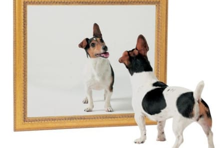 Ngôi nhà có 1000 chiếc gương