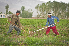 Câu chuyện về 2 anh em người nông dân