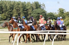 Chính phủ đồng ý đưa dự án trường đua ngựa vào quy hoạch Hà Nội