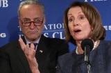 Pelosi-Schumer