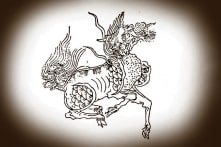 Nước Đại Việt cống lân, gây nên cuộc tranh cãi sôi nổi tại Trung Quốc