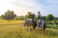 “Bình tĩnh đi… con sẽ sống lâu hơn đấy”