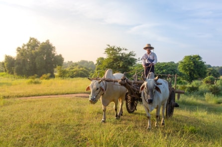 “Bình tĩnh đi… con sẽ sống lâu hơn đấy”