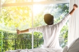 Vì sao nên ngủ sớm và dậy sớm, bất kể đồng hồ sinh học của bạn là gì