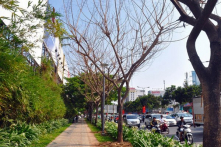 Không gian thành phố