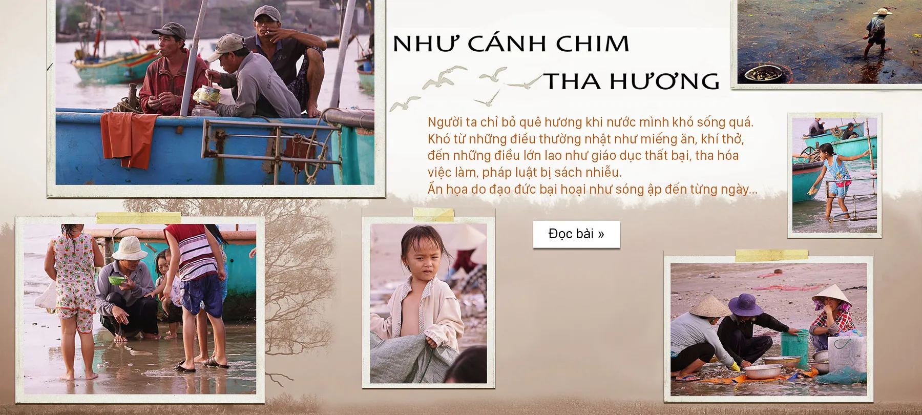 nhu canh chim ml2