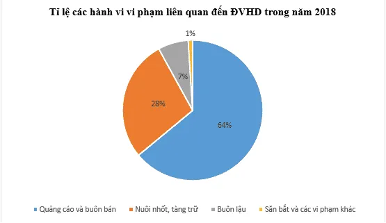 Ti le cac hanh vi vi pham lien quan den dvhd