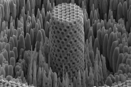 “Gỗ kim loại” làm từ niken: Cứng như titan, nhưng nhẹ hơn 5 lần