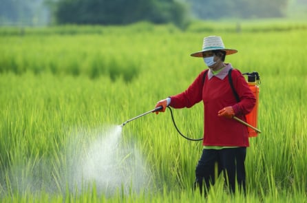 “Hóa chất vĩnh cửu” mới đi vào chuỗi thực phẩm, hé lộ tình thế tiến thoái lưỡng nan