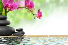 Trên thế giới có 3 kiểu người giỏi nhất
