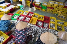 2 tháng đầu năm 2019: Xuất nhập khẩu tăng trưởng thấp, CPI tăng mạnh