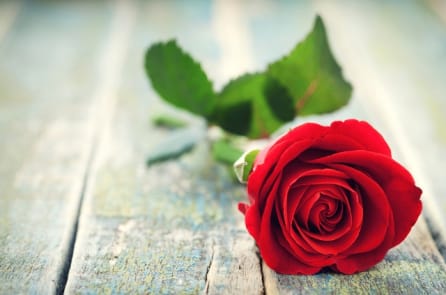 Quà tặng tình yêu của anh lính thủy