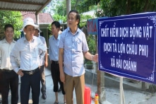 Quảng Trị, Vĩnh Phúc xuất hiện tả lợn châu Phi