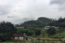 3 giám đốc Sở Hà Nội ‘thoát’ kỷ luật về sai phạm đất rừng Sóc Sơn